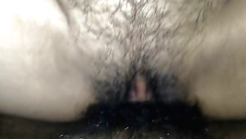 Indian bhabhi is getting fucked in her hairy pussy