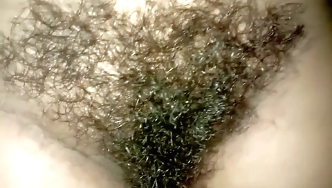 hairy cunt of a sexy Indian girl in a solo movie clip